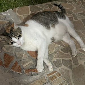 Meet your Posher, Reno